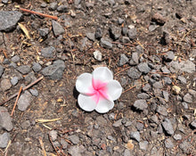 Load image into Gallery viewer, Flower Ring Karol G