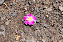 Load image into Gallery viewer, Flower Ring Karol G