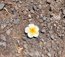 Load image into Gallery viewer, Flower Ring Karol G